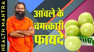 आंवले के चमत्कारी लाभ जानिए स्वामी रामदेव जी से  Amla Khane Ke Fayde  Swami Ramdev  Sanskar TV [upl. by Aicila536]