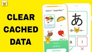 How To Clear Cached Data On LingoDeer App [upl. by Moskow]