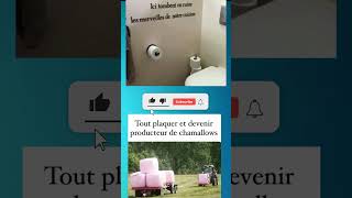 Les Chamallows😅🤣speedwit humor memes funny viral [upl. by Valsimot]