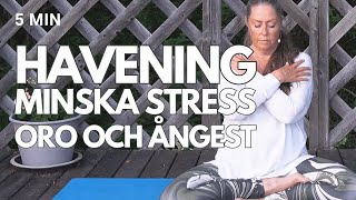 Havening  en teknik för att minska stress amp oro [upl. by Wirth]