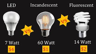 Types of Bulbs LED vs INCANDESCENT vs FLUORESCENT BULB 10 KEY DIFFERENCES [upl. by Acireed]