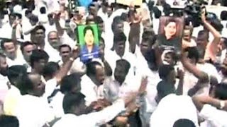 Huge celebrations outside Jayalalithaas Chennai residence after her acquittal [upl. by Croner795]