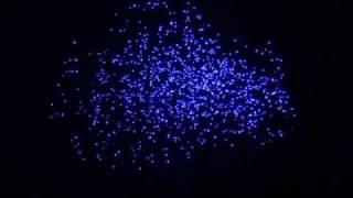 Brilliant Fireworks  FAN 12inch100shots best blue fireworks ever [upl. by Posner474]