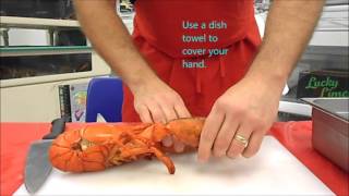 How to cook a live lobster [upl. by Roxanna]