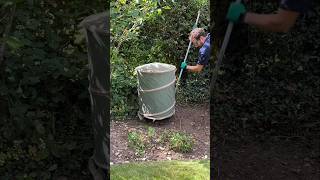 Customer Wanted It Gone I Rehomed This Tree satisfying lawn garden gardening diy [upl. by Chicky]