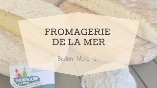 La Fromagerie de la mer à Baden Golfe du Morbihan  Morbihan Tourisme [upl. by Nevarc]