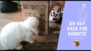 DIY HAY RACK FOR RABBITS [upl. by Aronos199]