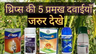 top 5 thrips ki dawai  thrips ko kaise control kare  bayer jump regent lesenta pi keefun delegate [upl. by Titania]