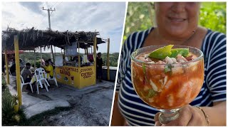 Alvarado Veracruz es muy famoso por sus mariscos y por sus groserias [upl. by Schoof463]