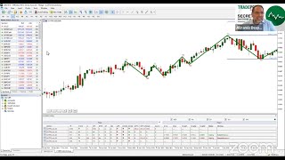 Tradepedia’s CEO delivering a live webinar introducing the Avramis Swing Indicator [upl. by Lianna884]