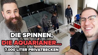 Dieser AquaristikVlog hat es in sich [upl. by Yddur]