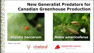 New Biocontrol Agents Generalist Predators for Canadian Greenhouse production [upl. by Dahlia]