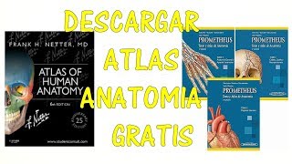 DESCARGAR ATLAS ANATOMIA GRATIS  PROMETHEUS Y NETTER  COMPLETOS  PDF [upl. by Anaoy41]