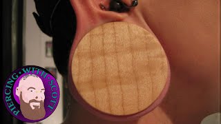 How to Stretch your Earlobe Piercings the safe and healthy way [upl. by Caundra]