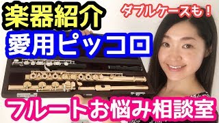 【ピッコロ楽器紹介】プロのフルート奏者の使用楽器・値段公開！愛用ダブルケースもFor Flute Players [upl. by Eemyaj]