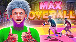 FASTEST WAY TO GET MAX BADGES AND 99 OVERALL IN 1 DAY IN 2K24 MAX EVERY BUILD YOU MAKE IN A DAY [upl. by Selwyn216]