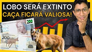 CÉDULA DE 200 REAIS E AMEAÇA DE EXTINÇÃO DO LOBOGUARÁ EM 2024 MERCADO EM ALERTA coin coins 2024 [upl. by Keon159]