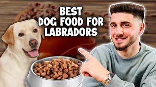 Top 3 Best Dog Foods for Labradors [upl. by Eelyah]