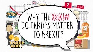 Brexit explained we need to talk about tariffs [upl. by Aliahs557]