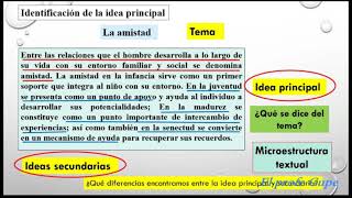 MICROESTRUCTURA TEXTUAL LA IDEA PRINCIPAL Y LAS ESTRATEGIAS DE SÍNTESIS [upl. by Samuella52]