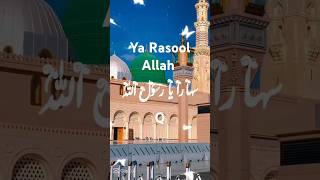 Ya Rasool Allah shorts short naat [upl. by Rasec]