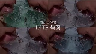 👩‍🎨  INTP 모여라 인팁 특징시리즈  대규모시리즈 시액 액괴시리즈 시리즈 액괴 대규모시리즈액괴 MBTI시리즈 시리즈액괴 [upl. by Lemahs]