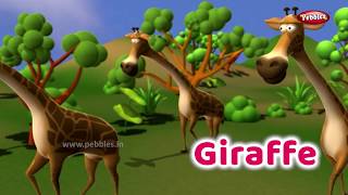 Interesting Animal Facts  Giraffe  Giraffe Essay in English  Learn Animals  Giraffe Song Kids [upl. by Donough]