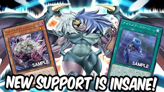 The NEW Yubel Support Makes the Deck INSANE [upl. by Rehpetsirhc]