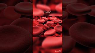 Blood amp its components  Blood plasma  Blood cells blood plasma RBC WBC Platelets shorts [upl. by Mintz]