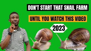 HOW TO START SNAIL FARMING AT HOME IN NIGERIA snailfarmingforbeginners snailfarming [upl. by Aleron]