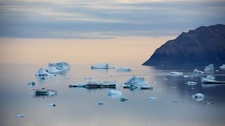 Greenland National Kayaking Championship  Ilulissat 2013 [upl. by Atilek]