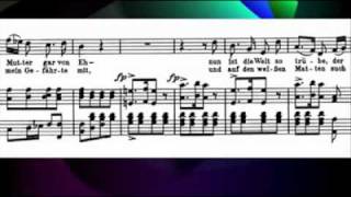 Schubert  Winterreise Gute nacht Padmore Lewisflv [upl. by Kathe433]