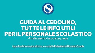 Stipendio docenti e Ata come leggere il cedolino video tutorial [upl. by Nyleaj562]