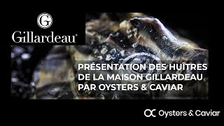 Oysters amp Caviar  Présentation de la Maison Gillardeau [upl. by Rego]