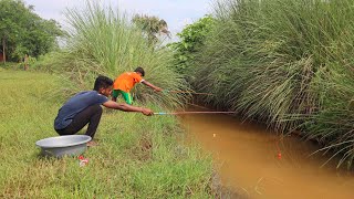 Fishing Video🐠🎣  I would not have believed if I had not seen so many fish in the village canal [upl. by Irolam]