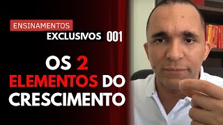 OS 2 ELEMENTOS QUE DEFINEM O CRESCIMENTO DA SUA EMPRESA  Ensinamentos Exclusivos 001 [upl. by Nrehtac]