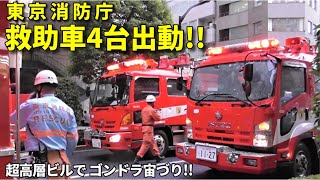 救助車4台出場 都心の超高層ビルでゴンドラ宙づり Responding Tokyo FD rescue team [upl. by Htez]