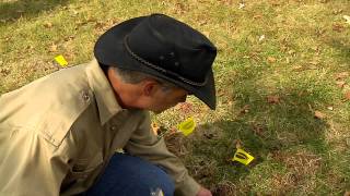 3 Steps to Getting Rid of Moles in Your Yard Locate Bait Eliminate [upl. by Bertolde208]