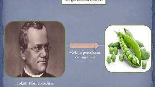 Genetika dan Hereditas Pendalaman Materi IPA [upl. by Hajile]