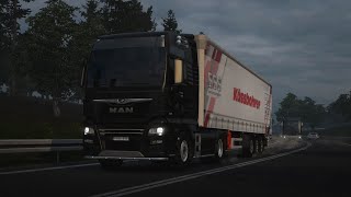 ETS2  MAN TGX Euro 6 540  Lublin PL to Debrecen HU  Smoked Sprats 18t [upl. by Farlie]