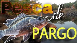 Pesca de pargo con camarón Petacalco Lázaro Cárdenas [upl. by Moria]