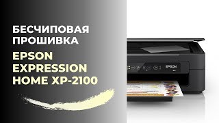 Бесчиповая прошивка Epson XP2100  Видеоинструкция [upl. by Yelsew]