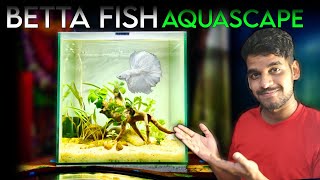 Betta Planted Aquarium Low Tech Aquascape Tutorial [upl. by Steen]