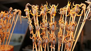 Chinese Street Food  Live Scorpions Insects Tiger Claws China [upl. by Ayotna124]