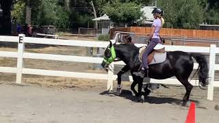 Morning Star Farm Half and Full Day Camp Video July 2226 2024 [upl. by Enenej]