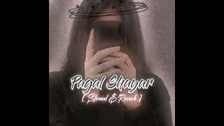 Pagal Shayar  slowed and reverb  Babbu Maan  New Punjabi Songs [upl. by Divadnahtanoj]