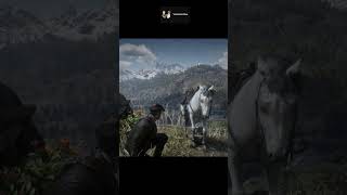 Revisiting Arthurs Grave RDR2 location rdr2 rdr2gameplay grave arthur walkthrough [upl. by Eedyaj]