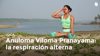 Anuloma Viloma Pranayama la respiración alterna  Yoga [upl. by Anaej890]