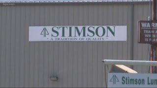 Job cuts at Stimson Lumber [upl. by Ellenaej]