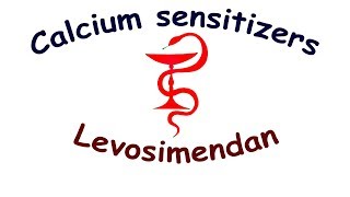 Сalcium sensitizers Levosimendan Mechanism of action side effects indications dosage [upl. by Yanahc]